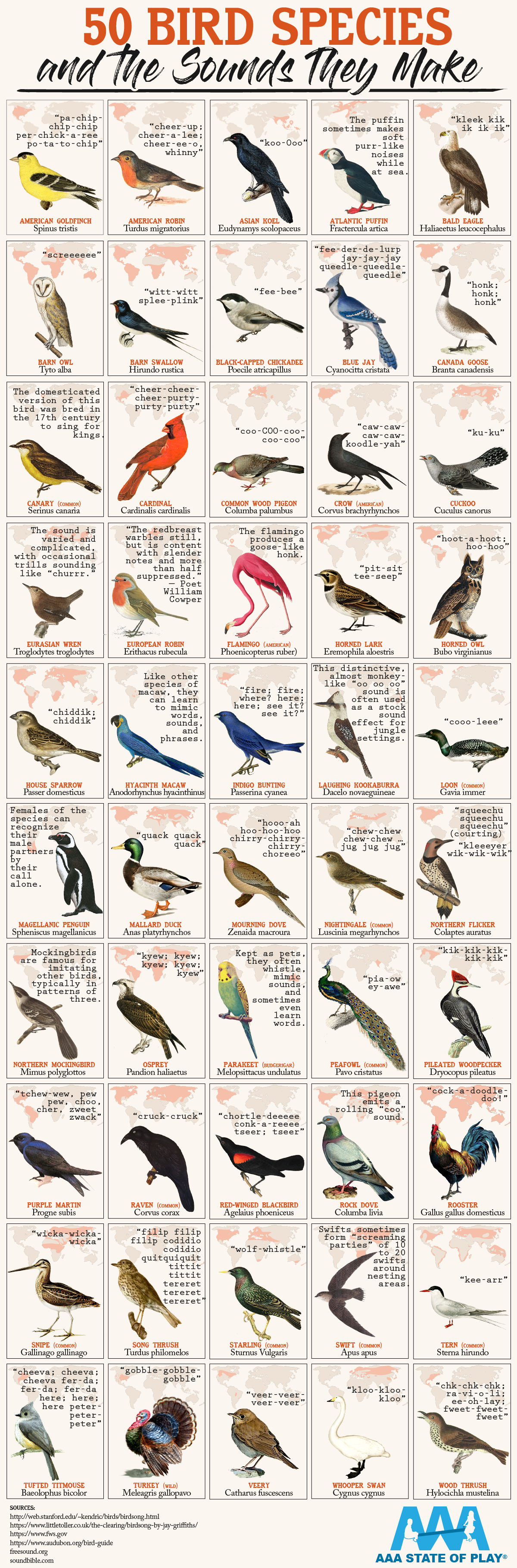50 Bird Species and The Sounds They Make 50 Bird Species and The Sounds They Make