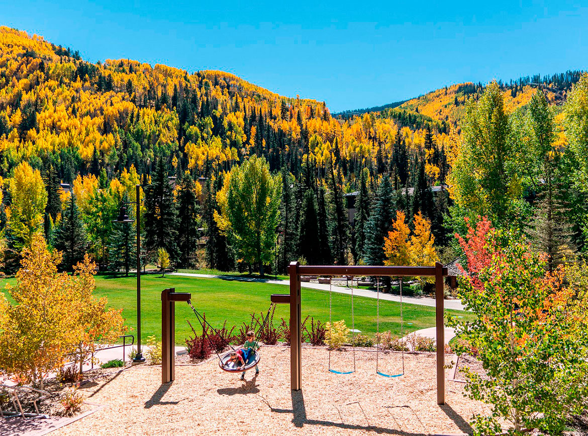 Natural Park and Playground Equipment