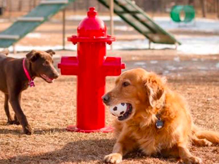 go to the this category